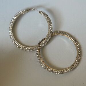 Elegant Silver Hoop Earrings